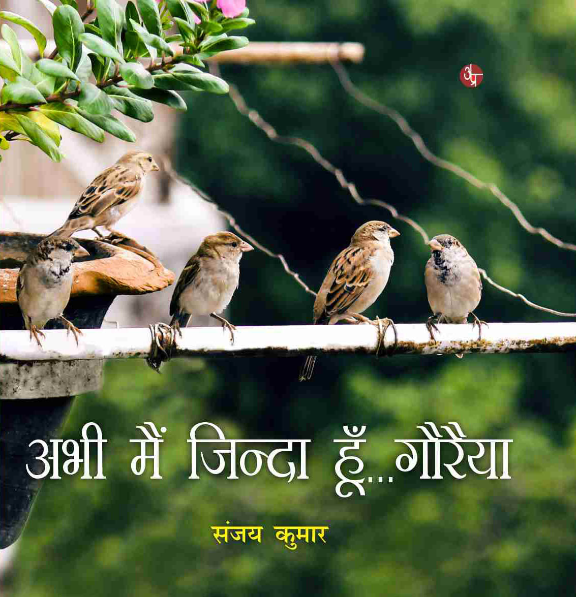 Life address before life